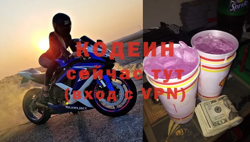 цена наркотик  Ногинск  Кодеиновый сироп Lean Purple Drank 