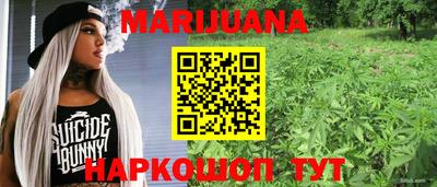 сатива Берёзовский