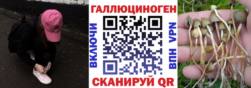 Галлюциногенные грибы прущие грибы где найти Ногинск